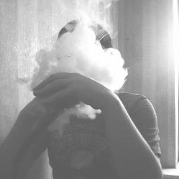 narek_stepanian's profile picture. 