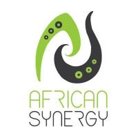 African Synergy(@AfricanSynergy) 's Twitter Profile Photo