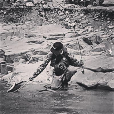 barblessspinner's profile picture. Say something positive.. It is easy!!!