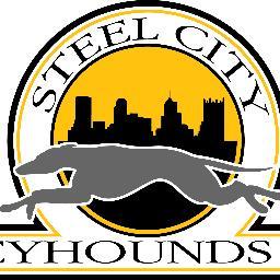 SteelCityGreyhounds Profile