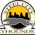 SteelCityGreyhounds (@steelcitygreys) Twitter profile photo