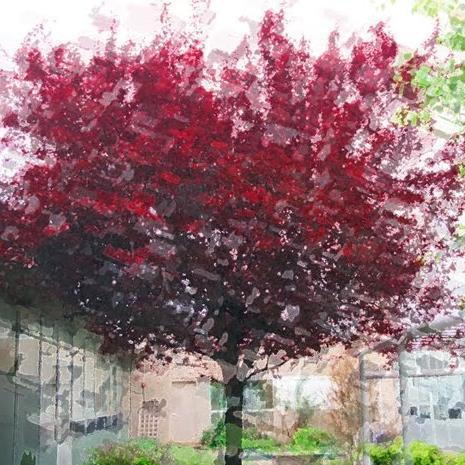 artsyandnerdy's profile picture. In love with life.