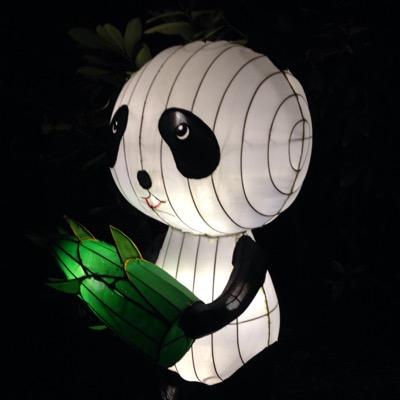 macybrev's profile picture. 