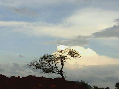 suneet_j's profile picture. 