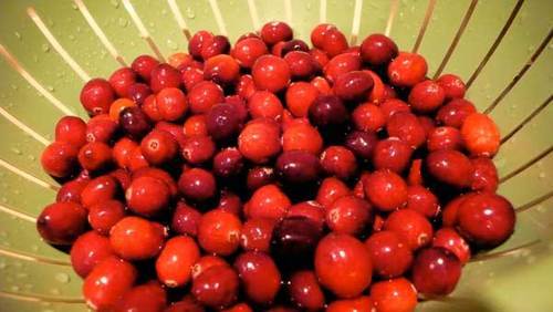 theboyhyde's profile picture. 