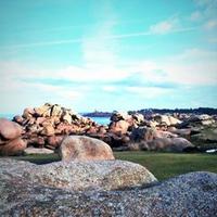 Cote de Granit Rose (@cotegranitrose) 's Twitter Profile