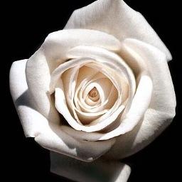 FairfieldLinks's profile picture. 