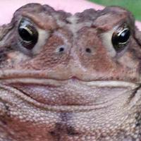 Steve Marek (@stephenmarek2) 's Twitter Profile Photo Steve Marek (@stephenmarek2) 's Twitter Profile Photo