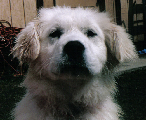 TeachMath08's profile picture. 