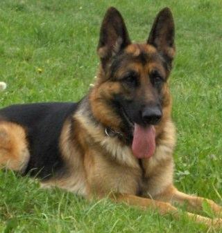 keatonh23's profile picture. -HINT- I AM Batman- p.s Merry Christmas