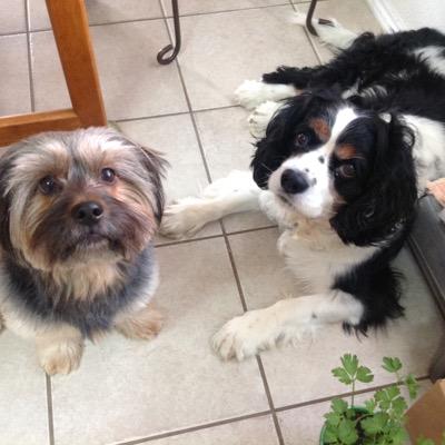 alerim10's profile picture. 