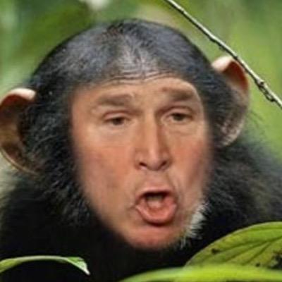 George Weiner Bush Gbforprez69 Twitter George Weiner Bush Gbforprez69 Twitter