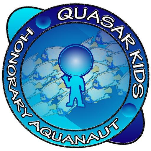 Quasar Kidsさんのプロフィール画像