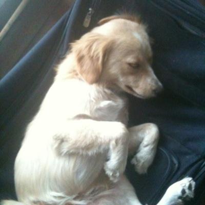 texasjenny's profile picture. all-in es todo