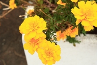 nanasbook's profile picture. カメラ片手に旅行するのが好き。