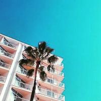 Hotel Amic Horizonte 🌴 de Mallorca (@horizonte24) 's Twitter Profile