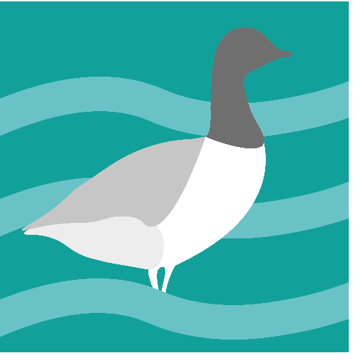 Solent Bird Movement Study 2015-17, Follow for project updates, facts, wildlife imagery from the Solent and ways you can get involved. #solentbirds