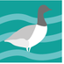 Solent Bird Studies (@solentbirds) Twitter profile photo Solent Bird Studies (@solentbirds) Twitter profile photo
