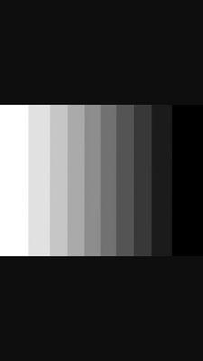 DkKickxxxxxball's profile picture. 