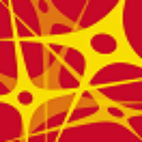 Consejo del Cerebro (@consejocerebro) 's Twitter Profile