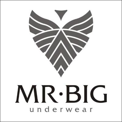 Mr. Big Underwear (@MrBigHungary) / Twitter