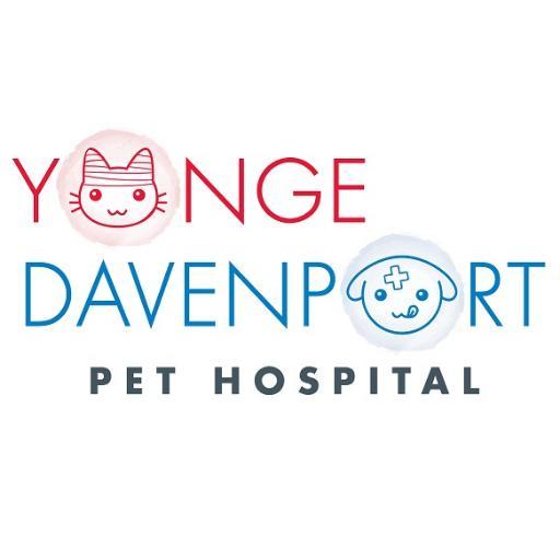 YD_PetHospital's profile picture. We are pleased to provide a wide variety of vet services for companion animals in downtown Toronto. Call us today 416-962-2883!