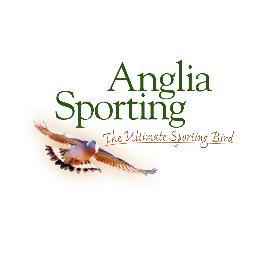 Driven Partridge and Pheasant.
Rough Shooting for mixed bags or exclusively for Snipe & Woodcock.
Duck & Goose flights.
Pigeon/Corvid Shooting & Deer Stalking.