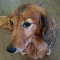 awakenerjun's profile picture. 