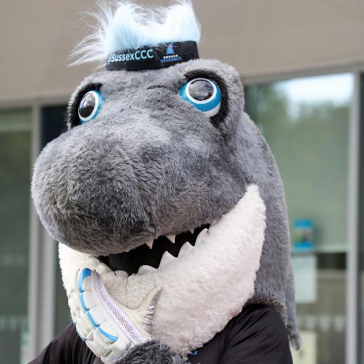OFFICIAL Twitter of @SussexCCC Mascot! Winner of the 2013 ECB T20 Mascot Race at Edgbaston. Lived in Hove for over a decade. Swim Pier to Pier every morning!
