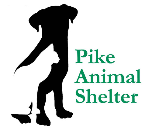animal shelter building project and community nonprofit org