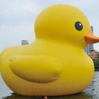 黄色いアヒル🐣🐥 (@_yellow_ducks) 's Twitter Profile