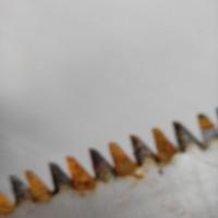 mutsuz (@vahidegiiii) 's Twitter Profile