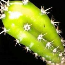 Faustinnnnno's profile picture. Periodista en #Tabasco // Información sobre: Inseguridad, Delincuencia, Robos, Secuestro, Asesinatos, Corrupción, Extorción.