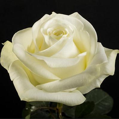 eluzhaeva4's profile picture. Ростов-на-Дону