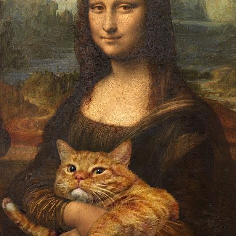 UX/UI Designer located in Atlanta. Proud mom of a sweet Bullmastiff puppy and a very rude, horrible cat.