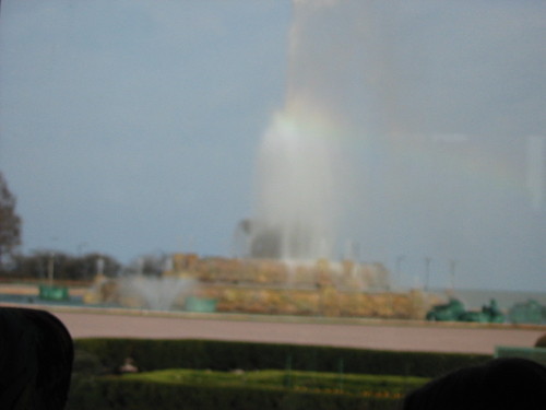 FlyPenguin11's profile picture. 