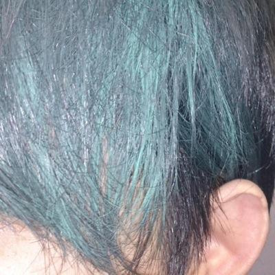 はやと