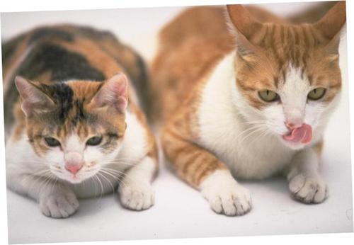 itslongtime's profile picture. 