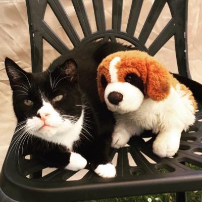 Lizardlegged's profile picture. I’m not a lizard. My legs are an average length.