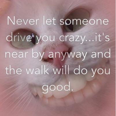 AimeeChristina6's profile picture. 