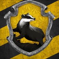Hufflepuffın Porsuğu (@barspotteer) Twitter profile photo