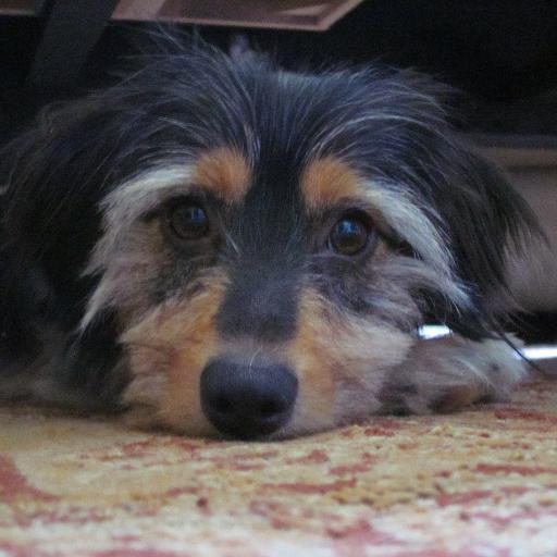 karenheilman's profile picture. High School Instructional Program Facilitator; Part-time Fitness Instructor