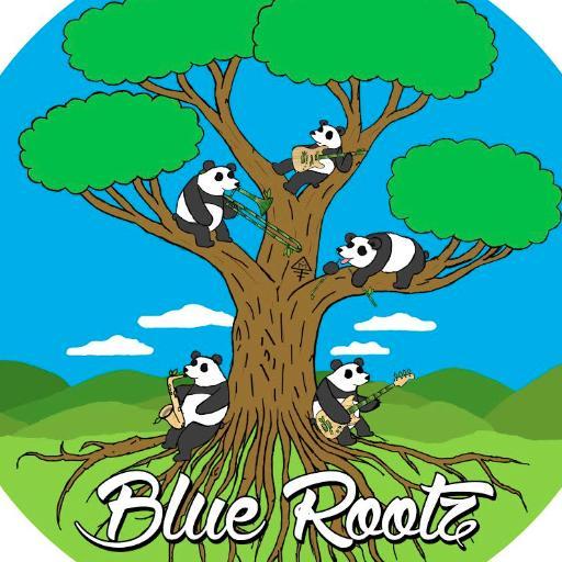 Blue Rootz is a 5 piece Funk/Soul band stationed in Buffalo, NY. Putting a Z on it since Summer 2011!