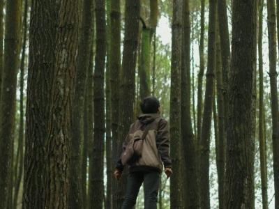 70alvetae's profile picture. Neglected, trashed, plagued, but cute undead Zombearz are wanting love once more an foever! Will you love them againor will they take over your world!