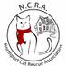 Northport Cat Rescue (@northportcats) Twitter profile photo Northport Cat Rescue (@northportcats) Twitter profile photo