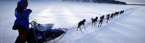 A web project dedicated to following Kathy Frederick in her journey to compete in the 2010 Iditarod