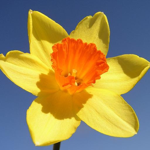 Yr Adran Gymraeg yn Ysgol Stanwell - yn ysbrydoli ein cymuned i ddefnyddio a dysgu Cymraeg ❤️ Rydyn ni'n caru Cymru a'r Gymraeg. Rydyn ni hefyd yn hoffi coffi.