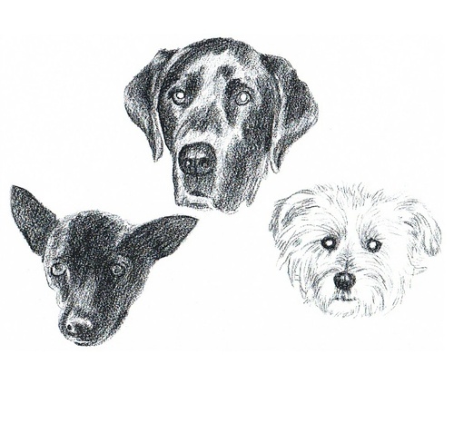 sisters3biscuit's profile picture. 