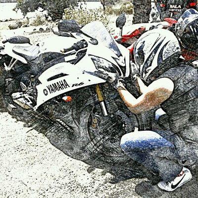 marcovinicio311's profile picture. 