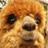 ossianico's profile image